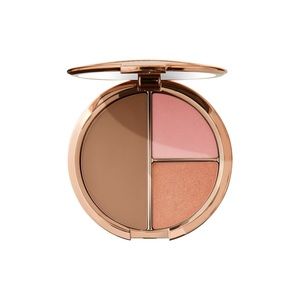 NEW Bobbi Brown Face and Cheek Palette